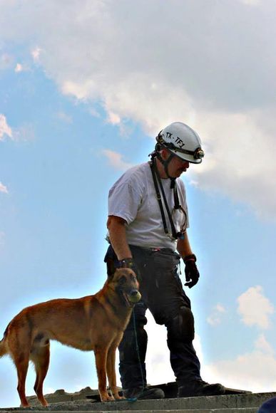 Bob's hotsell dogs training